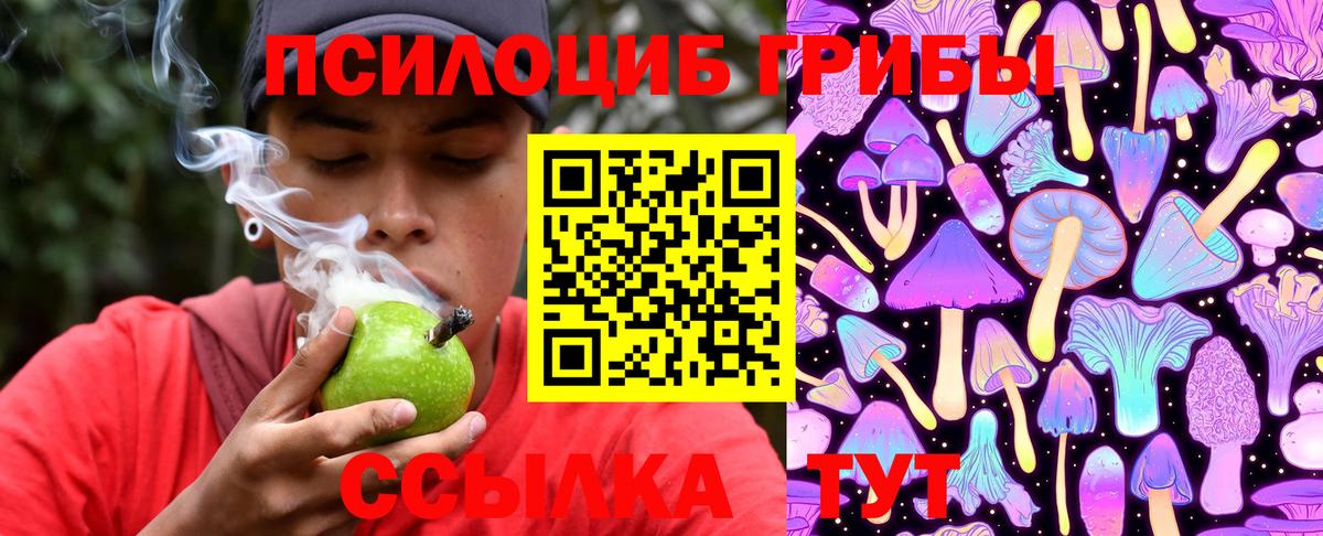 Галлюциногенные грибы прущие грибы Лангепас