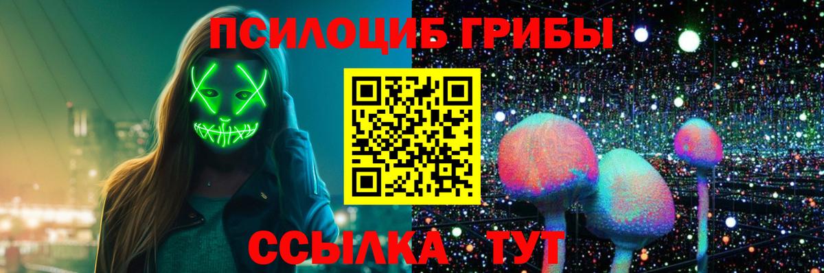 Лангепас  купить  сайты  Вход с VPN  Галлюциногенные грибы Psilocybe 
